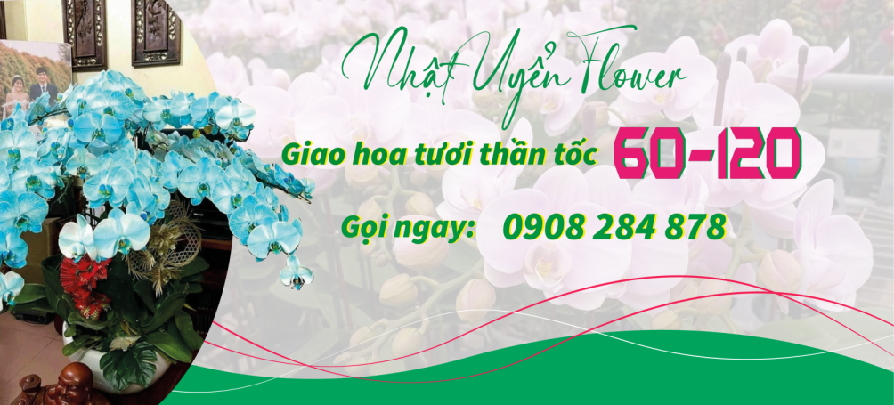 Hoa tươi Anh Đào TP. HCM