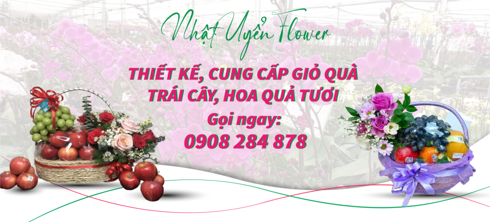 Giỏ Trái Cây tươi Thủ Đức