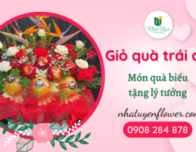 Giỏ quà trái cây - Món quà biếu tặng lý tưởng