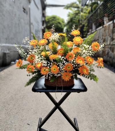 Giỏ Hoa Tươi - Hoa Chúc Mừng HHH-0001