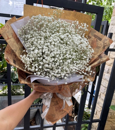 Bó Hoa Baby Chúc Mừng Tốt Nghiệp HBB-0002