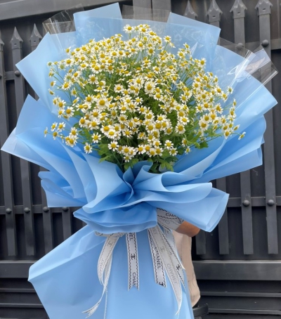 Bó Hoa Cúc Tana Chúc Mừng Tốt Nghiệp HBB-0202