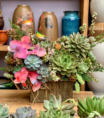 Giỏ Sen Đá Tươi Chúc Mừng 02