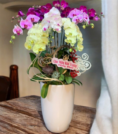 Bình Lan Hồ Điệp Chúc Mừng Khai Trương