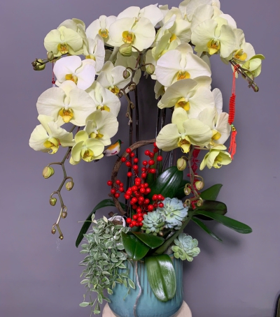 Hoa Lan Hồ Điệp Chúc Mừng NU228