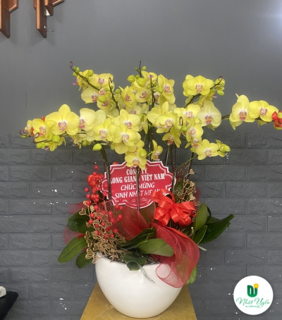 Chậu Lan Hồ Điệp Vàng Chúc Mừng HCM-0004