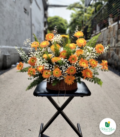 Giỏ Hoa Đồng Tiền Chúc Mừng HĐT-0001