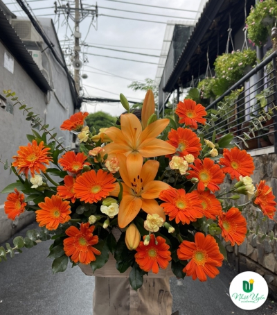 Giỏ Hoa Đồng Tiền - Hoa Tươi Chúc Mừng HCM-0115