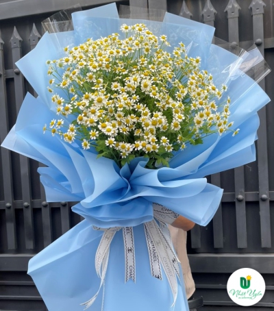 Bó Hoa Cúc Tana Chúc Mừng Tốt Nghiệp HBB-0202