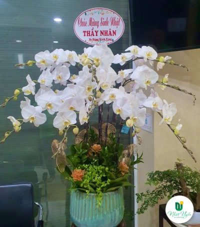 Hoa Lan Hồ Điệp Chúc Mừng - 03