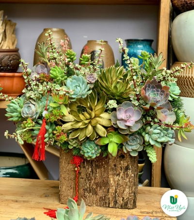 Giỏ Sen Đá Tươi Chúc Mừng