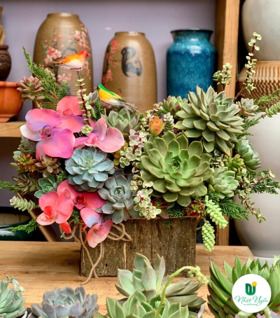 Giỏ Sen Đá Tươi Chúc Mừng 02