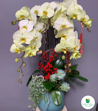 Hoa Lan Hồ Điệp Chúc Mừng NU228