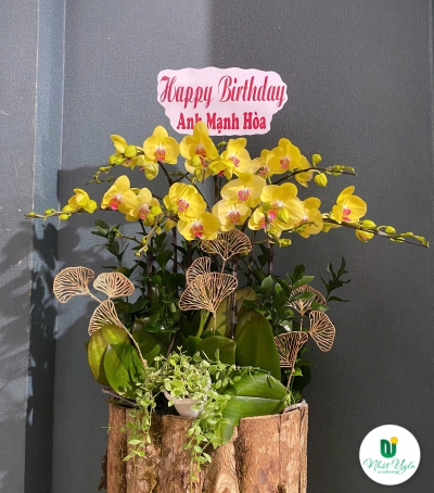 Hoa Lan Hồ Điệp Chúc Mừng Sinh Nhật