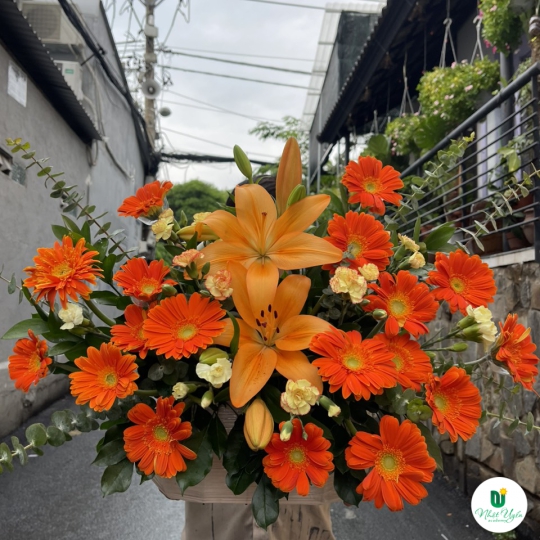 Giỏ Hoa Đồng Tiền - Hoa Tươi Chúc Mừng HCM-0115