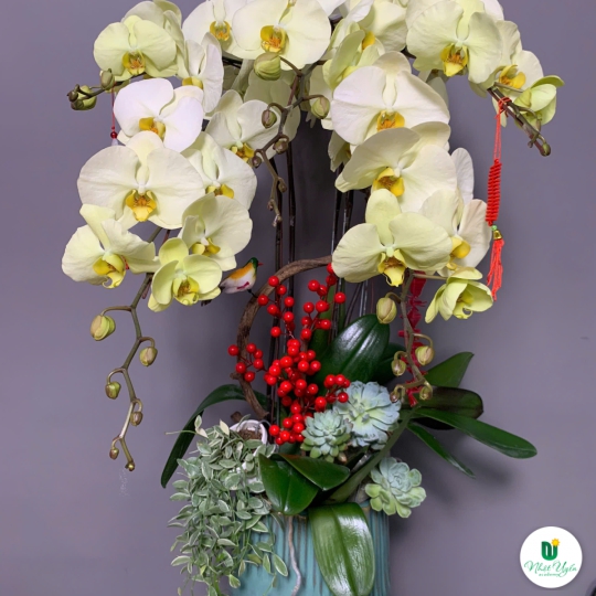 Hoa Lan Hồ Điệp Chúc Mừng NU228